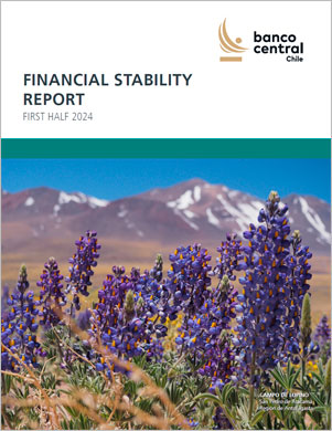 Financial Stability Report First Half 2024