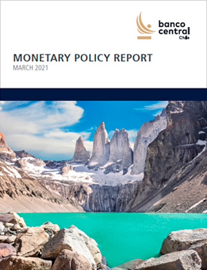 Monetary Policy Report March 2021