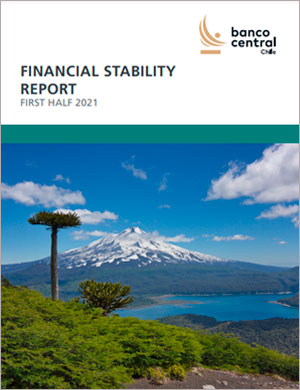 Financial Stability Report First Half 2021