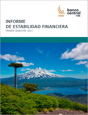 Informe de Estabilidad Financiera Primer Semestre 2021