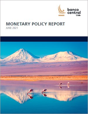 Monetary Policy Report June 2021