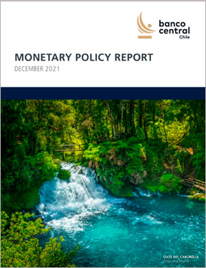 Monetary Policy Report December 2021