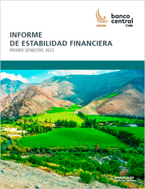 Informe de Estabilidad Financiera Primer Semestre 2022