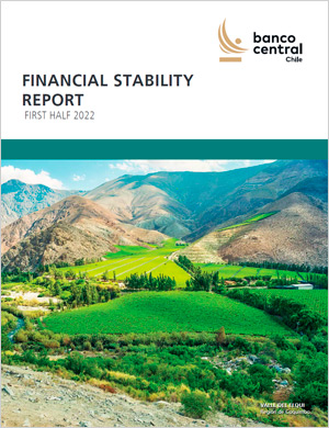 Financial Stability Report First Half 2022