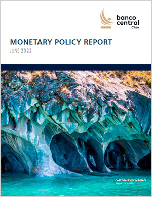 Monetary Policy Report June 2022