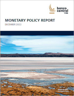 Monetary Policy Report December 2022