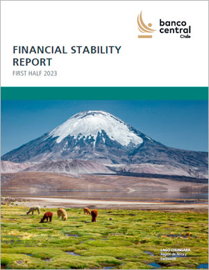 Financial Stability Report First Half 2023