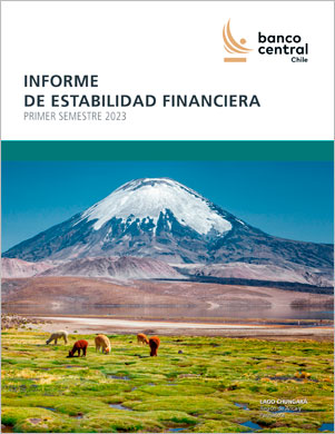 Informe de Estabilidad Financiera Primer Semestre 2023