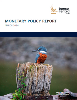 Monetary Policy Report March 2024