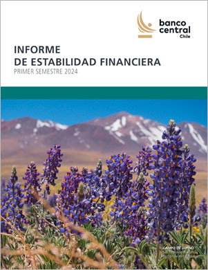 Informe de Estabilidad Financiera Primer Semestre 2024