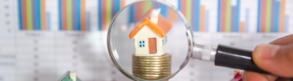 Alfabetización Financiera en la Encuesta Financiera de Hogares 2024