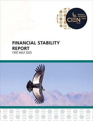 Financial Stability Report First Half 2026