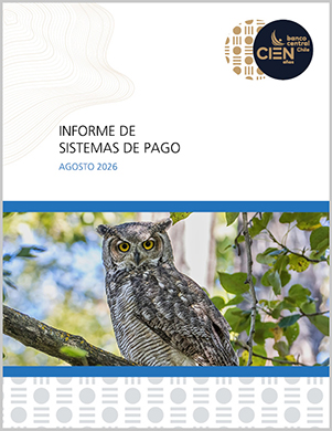 Informe de Sistemas de Pago agosto 2026