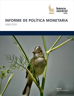 Informe de Política Monetaria junio 2024